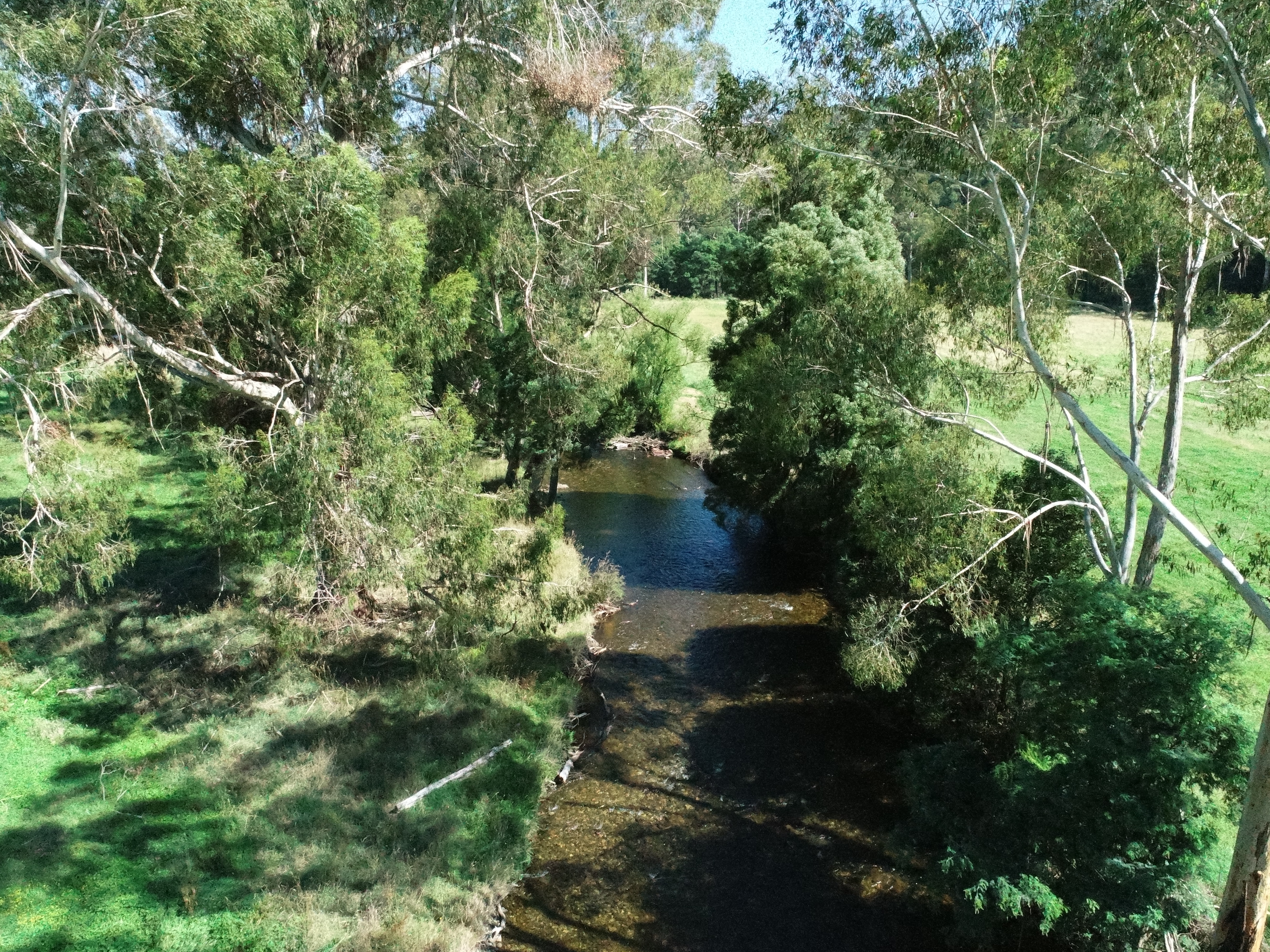 Advanced data analysis and environmental monitoring